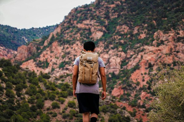 Règles Essentielles et Conseils Pratiques pour Camper avec Vos Animaux de Compagnie
